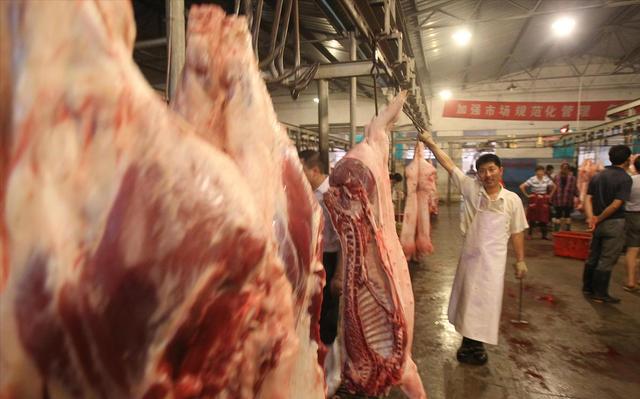 春天来了！猪价“插翅腾飞”，大涨18%，发生了啥？又缺猪了吗？