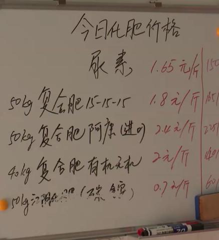 减负增收 超535万 今日热点