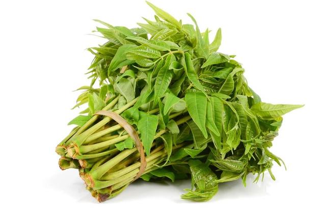香椿含亚硝酸盐这一致癌物，吃多了会致癌？不敢吃香椿的看看吧