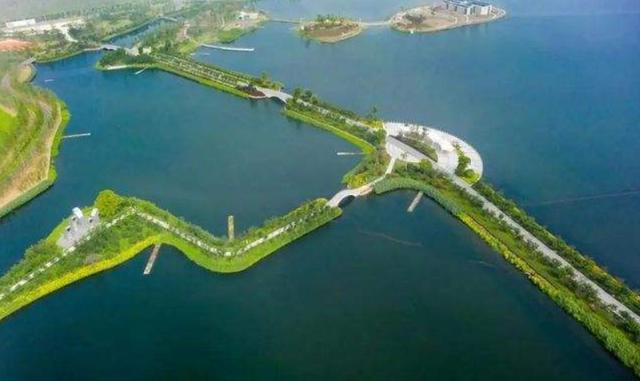 逆袭为百亿富豪的秦荣华，从日本买10000根木头：这本就是中国的