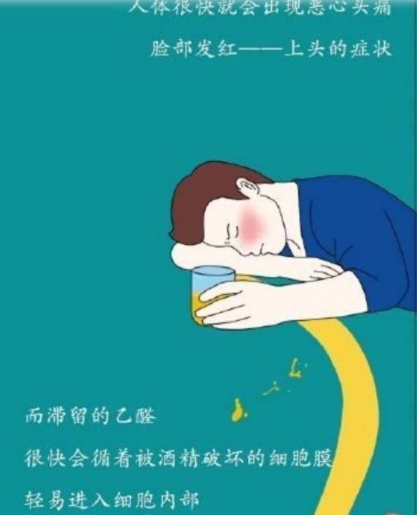 为什么要戒酒？科普：喝酒后人体24小时的变化，看完你还会喝酒吗