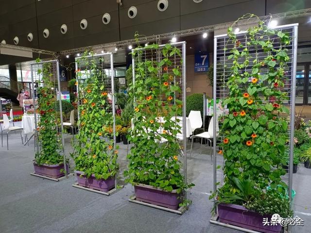长沙机械展2021几点