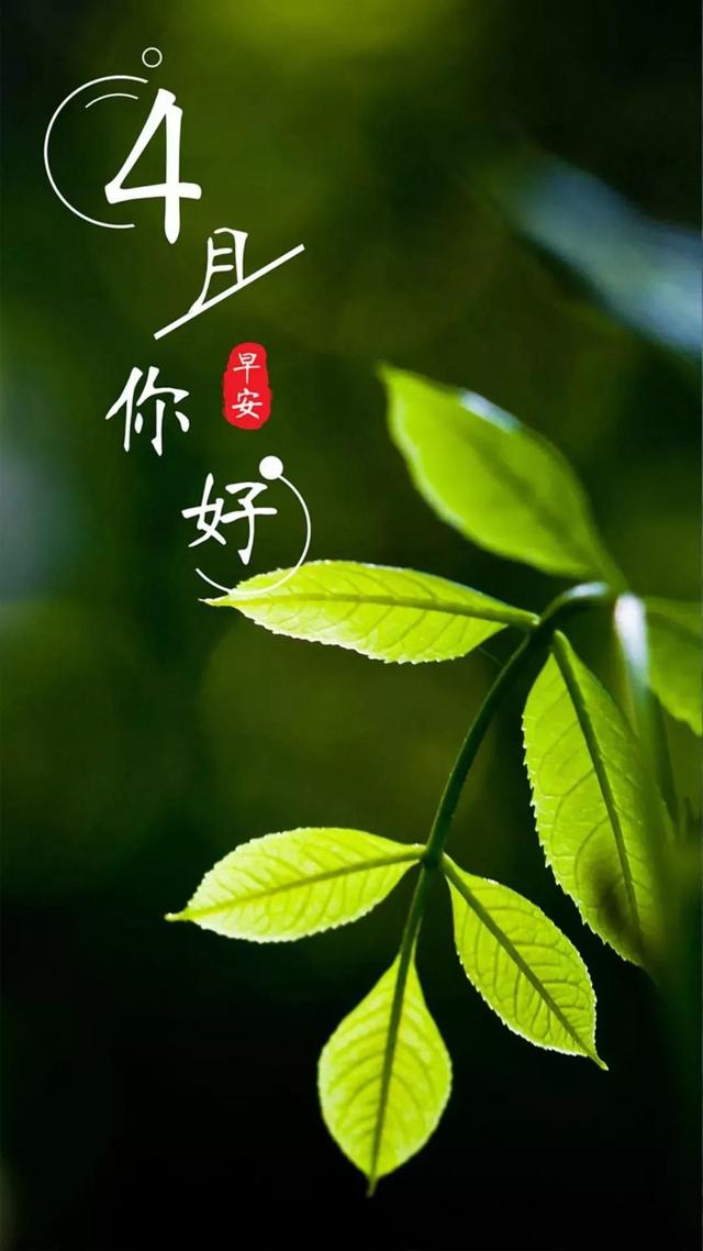 人间最美四月天，朝气蓬勃的四月你好