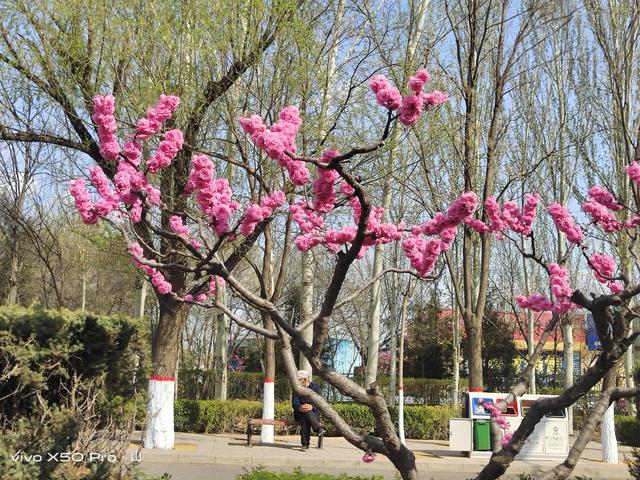 诗和远方并没有一帆风顺