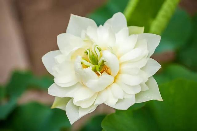 Text/Hanmei 101 What is the most common sentence that children hear their parents say? Come to think of it, it's nothing more than that: It's all for your own good. In the hearts of many parents, they hope that their children will be obedient and sensible, and it is best to follo - DayDayNews