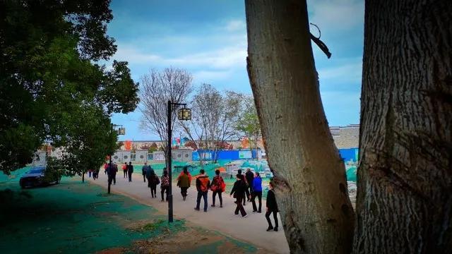 同学会大结局免费观看(同学会完整版免费观看)