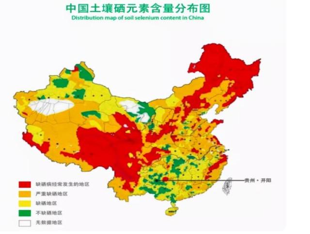 硒是抵抗癌症、提高免疫力的必需元素，吃什么食物能补充？告诉您