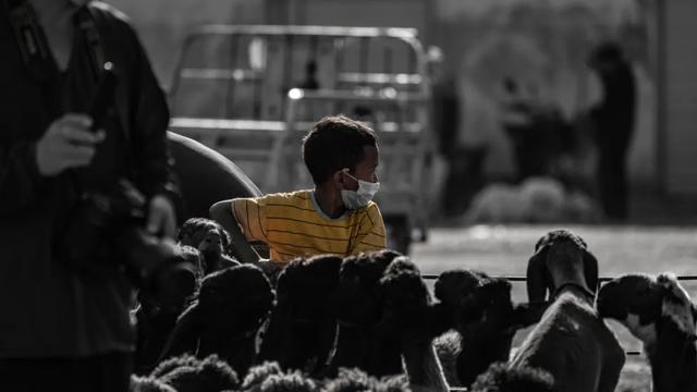 冬天新疆的美，被忽略了這麽多年