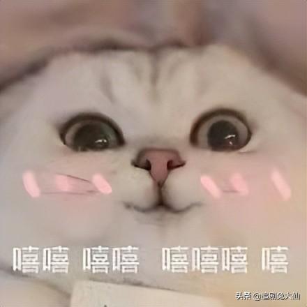 中国综艺高分榜(综艺节目排行榜前十名经典)