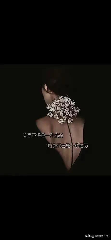 总有一句你喜欢的文案，我最喜欢第八句