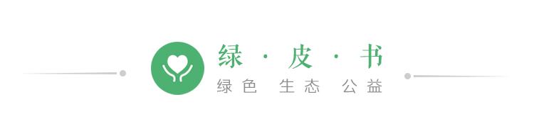 尾矿处理需要办理手续吗