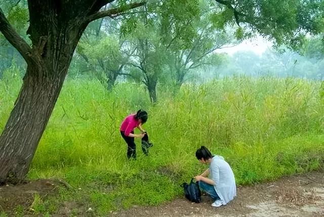 郑州野菜采摘地图出炉！香椿、荠荠菜...挖野菜全攻略，还不赶紧收藏