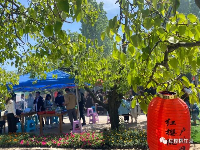 鄭州戶外拓展基地