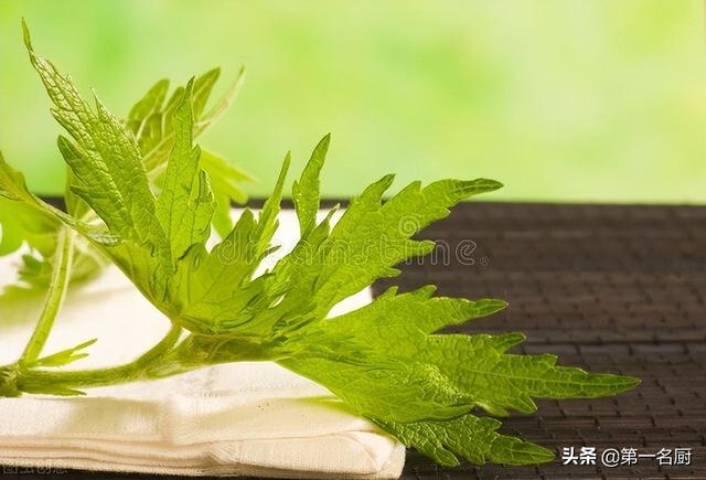 野菜有哪些 野菜有哪些（能吃的野菜有哪些） 生活