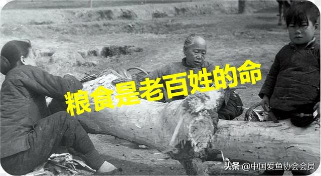 多地紧急排查割青麦事件，明确表态禁止割青麦行为