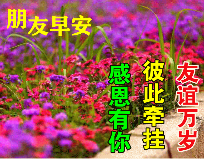 早上心情好充满阳光的句子正能量早安祝福语及图片大全