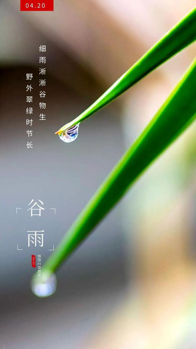 谷雨图片配图高清唯美带字，谷雨朋友圈文案祝福问候语句子