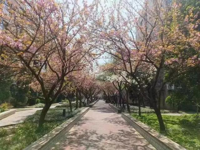 优微推荐丨我想做这样的人