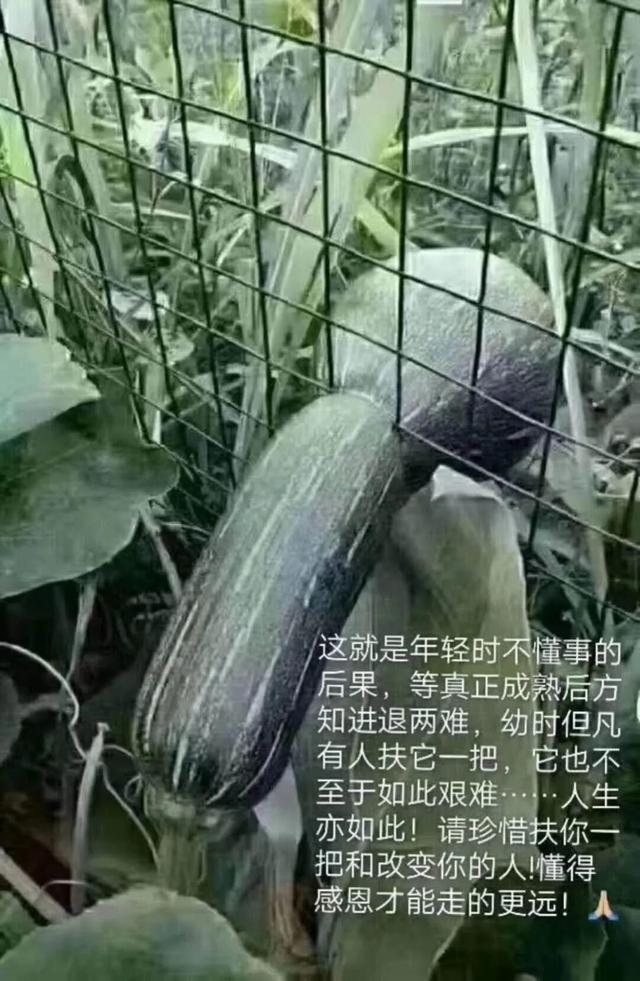 爱在灵魂中