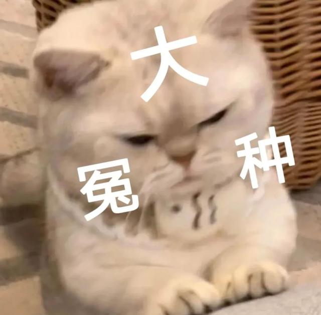 微信怎么没有我的相册-手机微信怎么没有我的相册