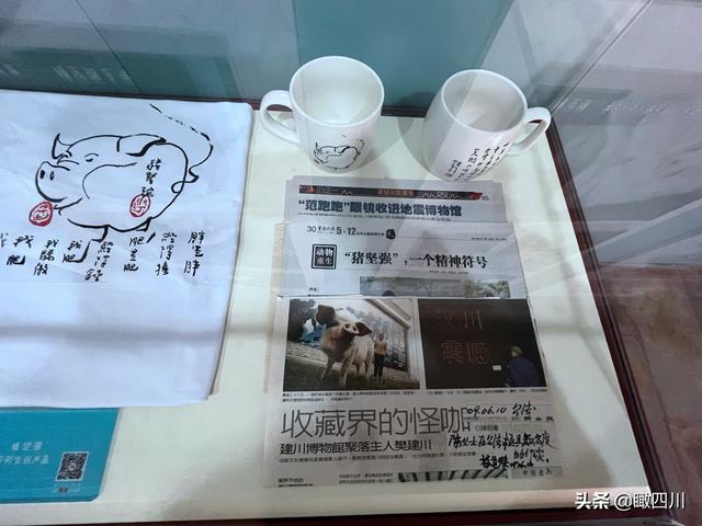 “猪坚强”标本预计5月12日展出