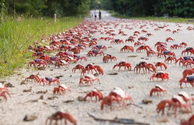 头皮发麻鸡皮疙瘩