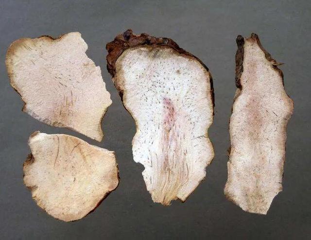 舌苔白厚腻