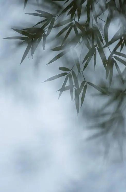 散文：微风渐暖，缱绻温柔了夏日情怀