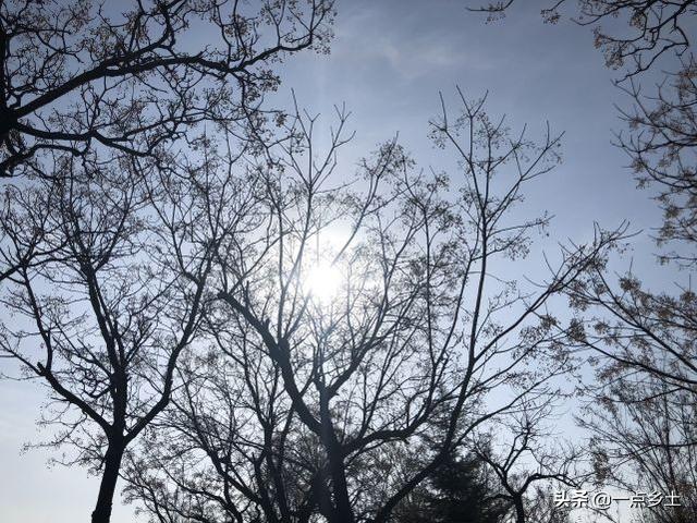 明天人日节，老人说：“人日有三怕，有子也难下”，三怕分别指啥