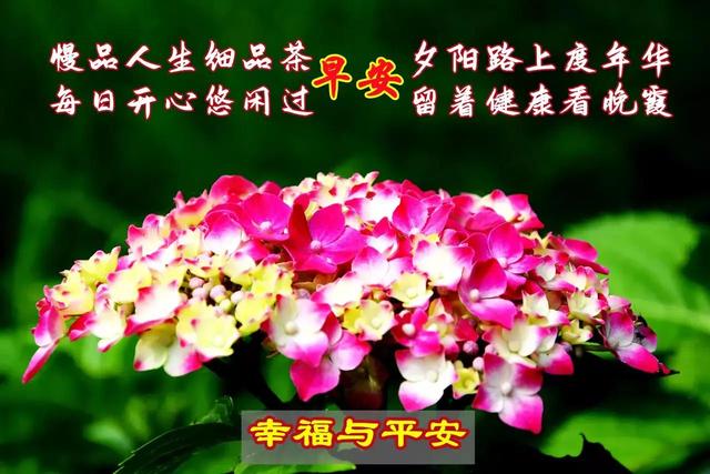 4月28日好友的问候与我的回复（2022年）