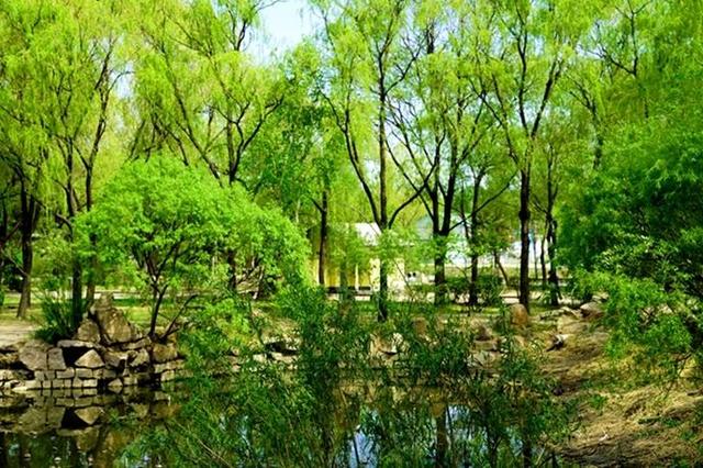 《致敬夏天》