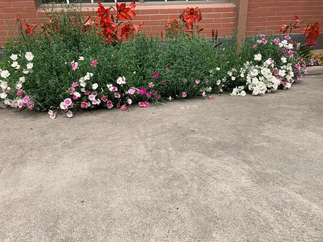 让生活慢下来