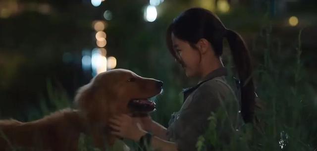 和相親對象一起遛狗，最能見人品？ - 