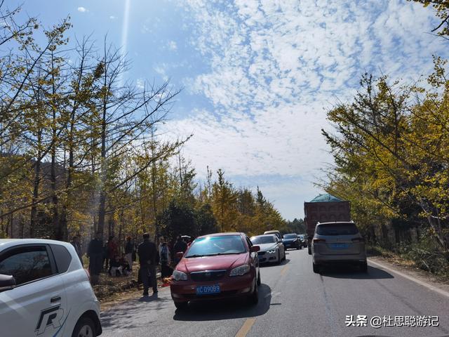 漢EV自駕廣西，秋冬的海洋鄉銀杏是不能錯過的風景區