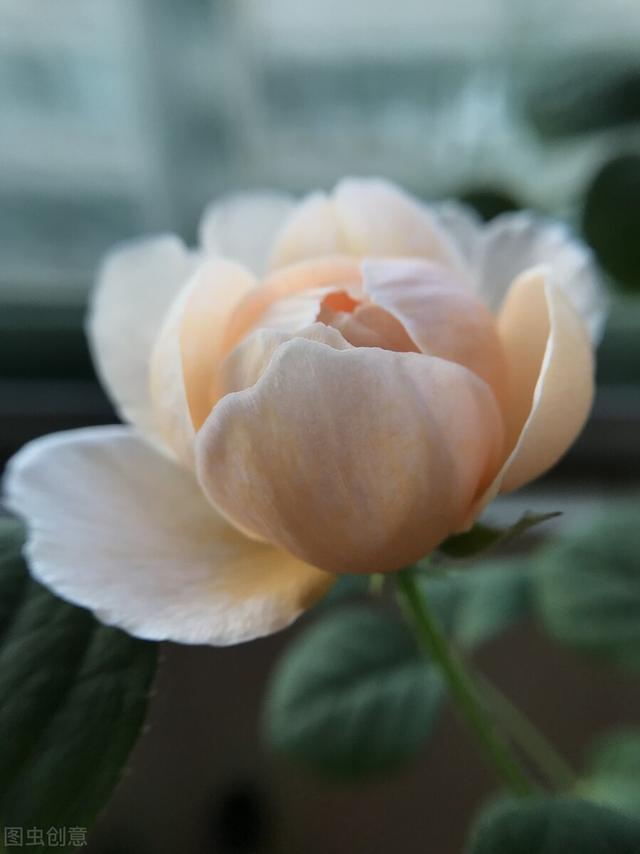 三月：春来无恙，次第花开，等闲识得东风面，万紫千红总是春