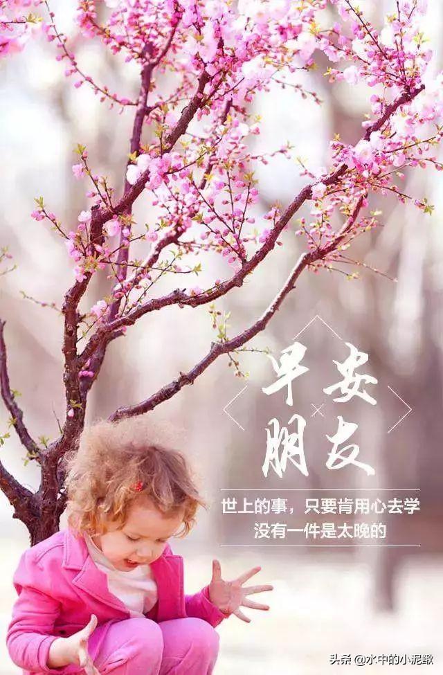 抖音最火的励志早安语录说说 越读越给力