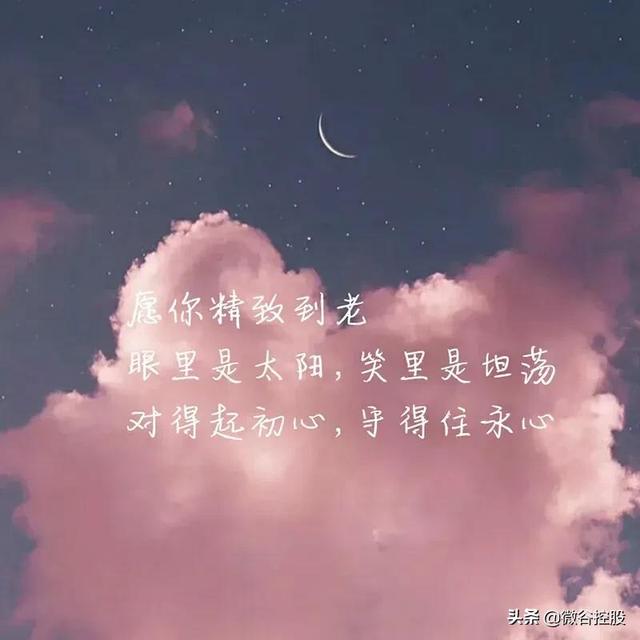 朋友圈惊艳一句话文案，干净又治愈，句句倾心