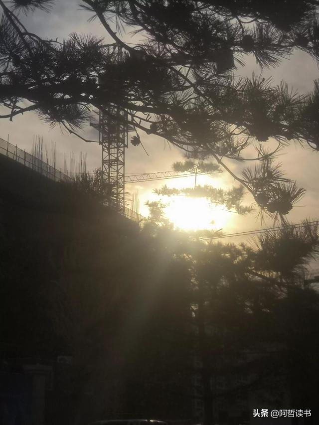 霞光唱晚，落日照松间，夕阳美无限