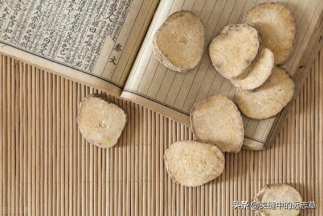 血脂高？多源于脾肾阳虚，送你六味中药，温脾肾、祛痰浊、化血瘀