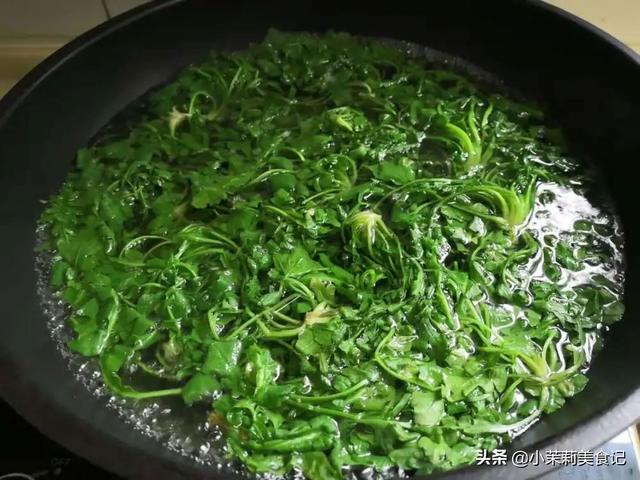 清明后，这5样野菜快老了，每样多摘点保存，一年都有“春菜”吃