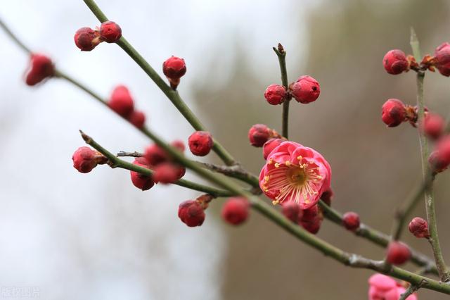 今年的立春有何不一样？正月初四恰逢立春，这些禁忌不要踩
