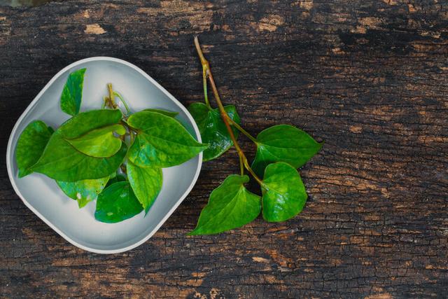 鱼腥草含“马兜铃酸”，有肾毒还致癌？到底能不能吃？告诉你真相