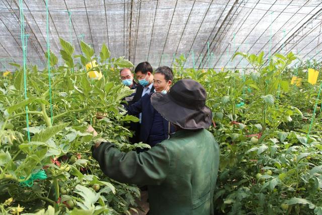 寿光市科技局：助力乡村振兴，科技力量在行动