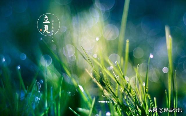 「今日立夏」 春日渐行远，夏日初始来