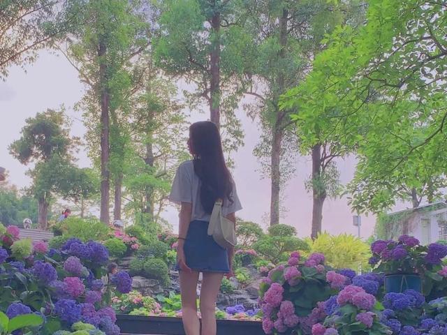 温馨的文案 | 愿所有美好都恰逢其时