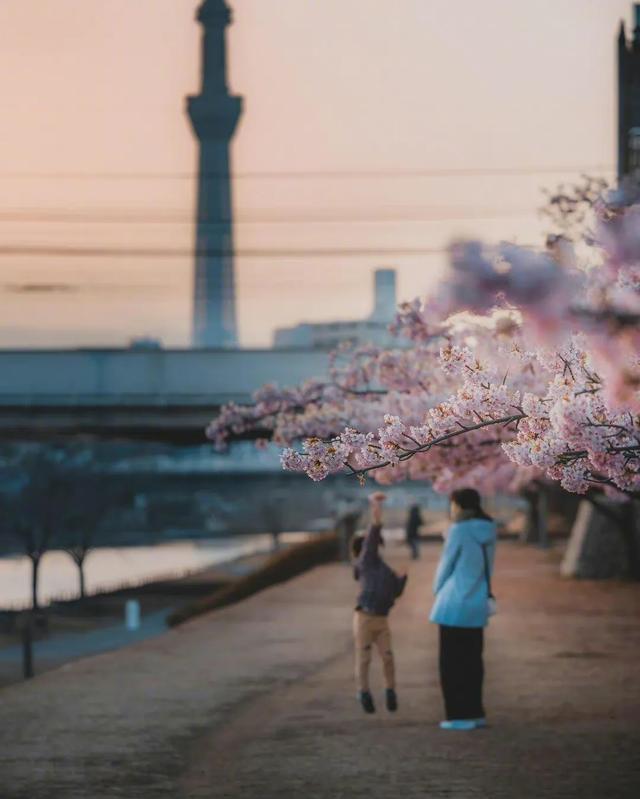 大学退学是一种怎样的人生体验