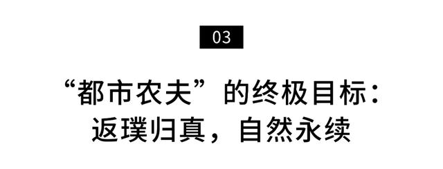 小夫妻在5.9㎡阳台种菜，疫情下蔬果不断