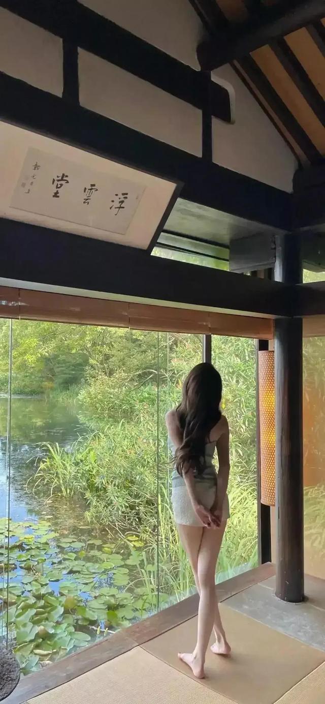 与一朵花的对视