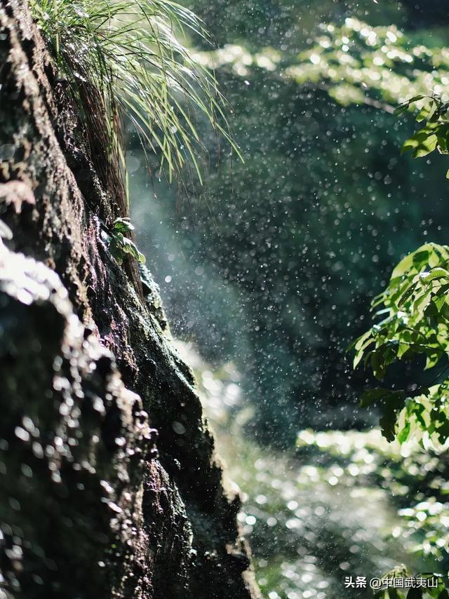 烟雨武夷 | 风景清明后，只一眼便忘却人间无数