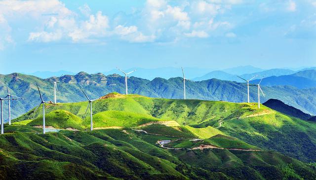 中国股市：机构重仓的6大稀缺资源龙头股，榜首机构占比超过7成